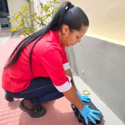 Técnicos qualificados em controle de pragas
